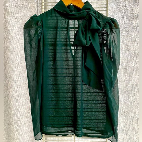 Emerald Green Sheer Blouse with Bow - Picture 2 of 2